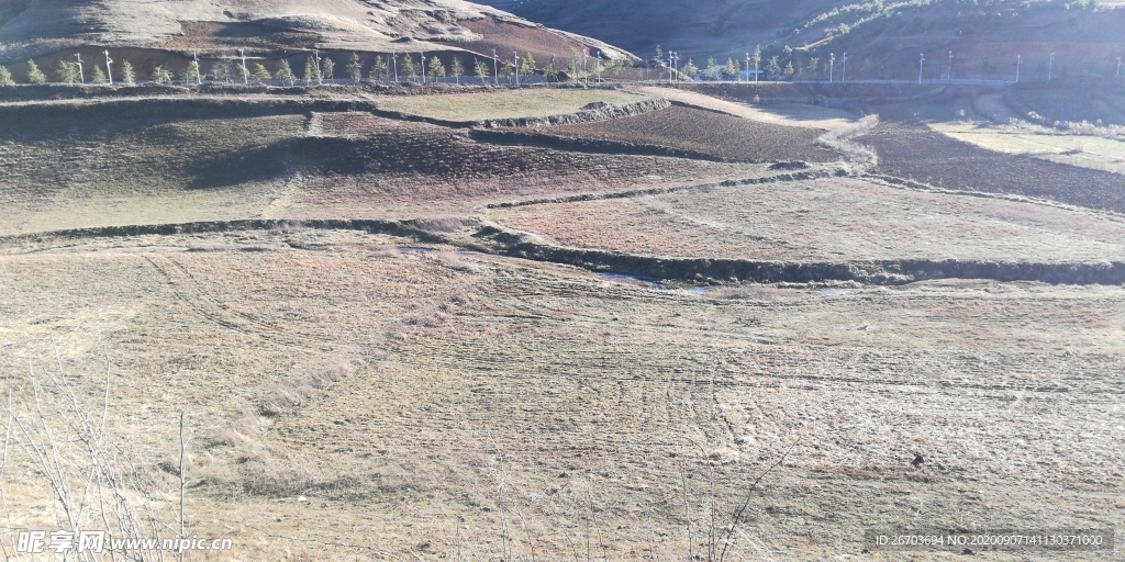 大山草地风景