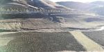 高原田野风光图片