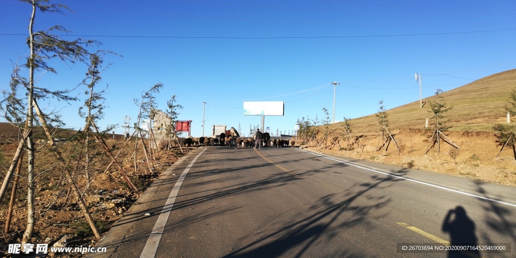 乡村公路风景