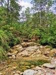 山间小溪流