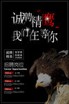 诚聘精英招聘