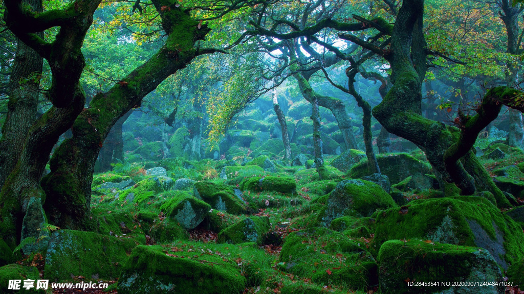 风景