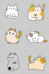 卡通猫咪