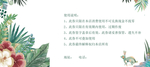 代金券模板