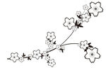矢量花 线稿桃花