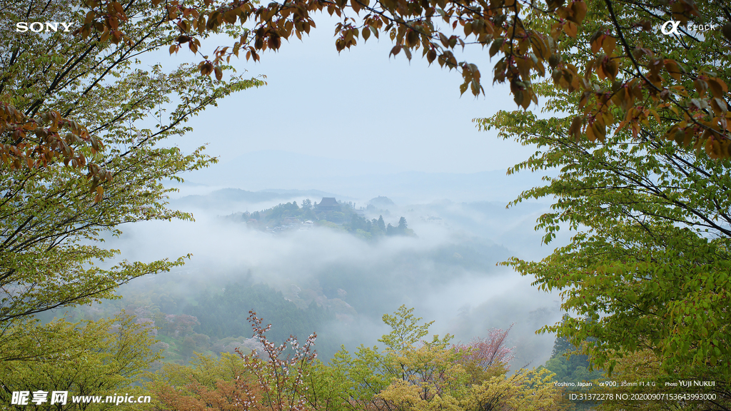 世界各地风景图片