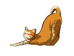 猫咪 插画 手绘小橘猫 伸懒腰