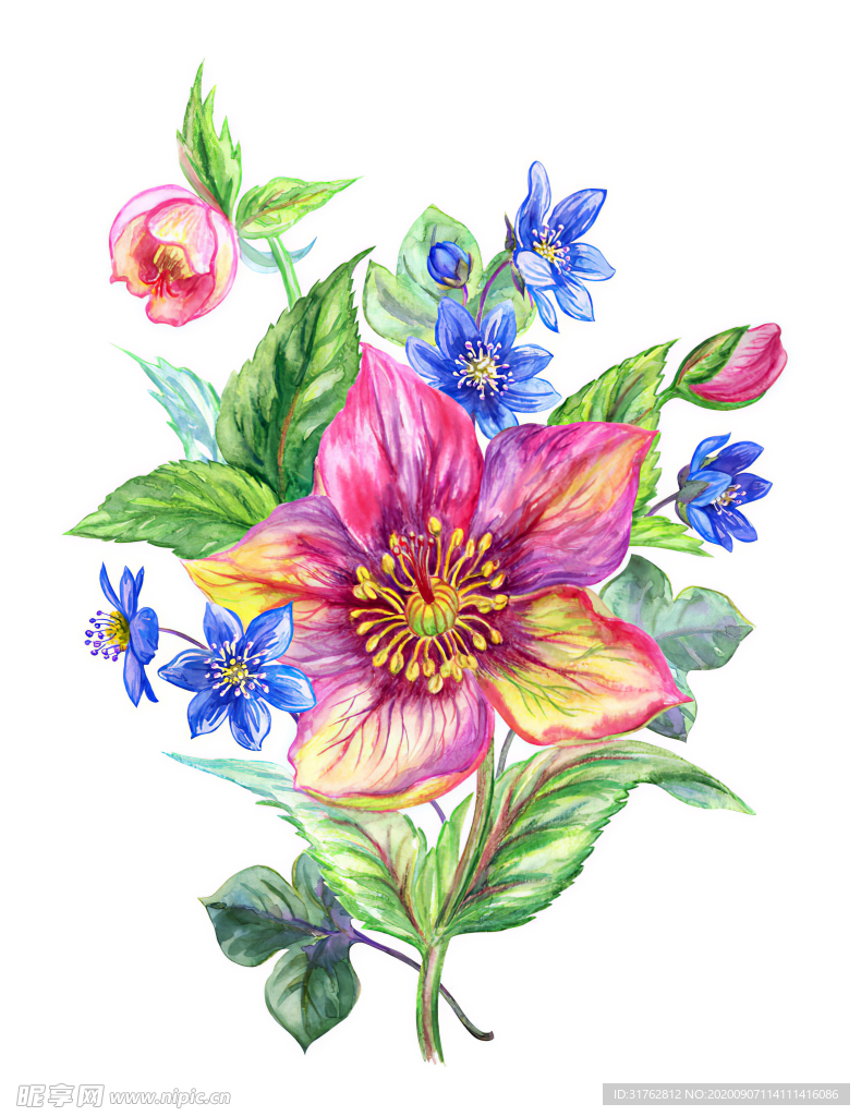 手绘花