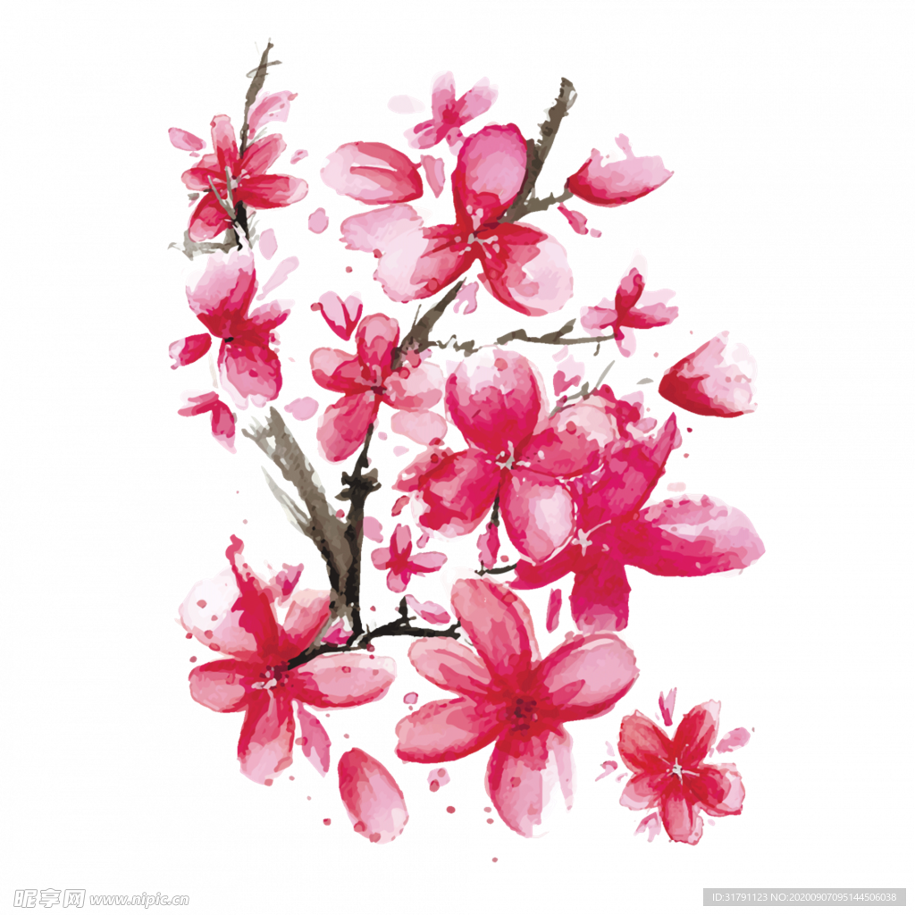 樱花