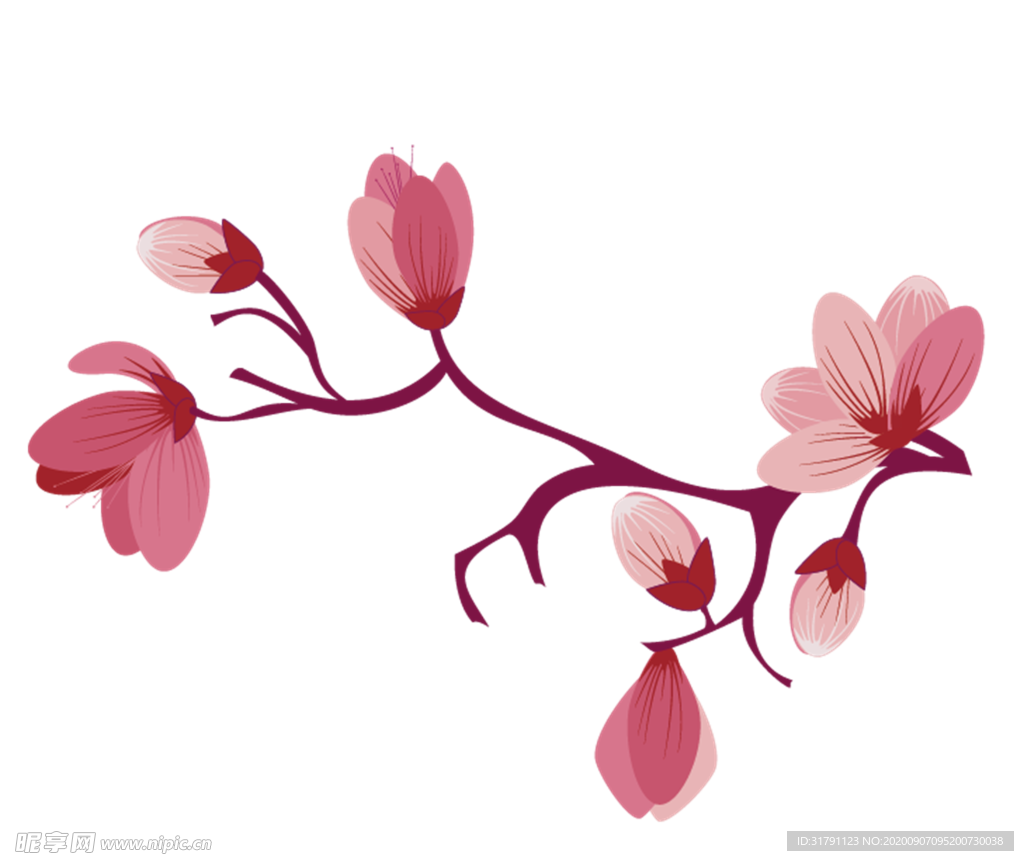 樱花