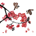 中国风桃花鸟插画