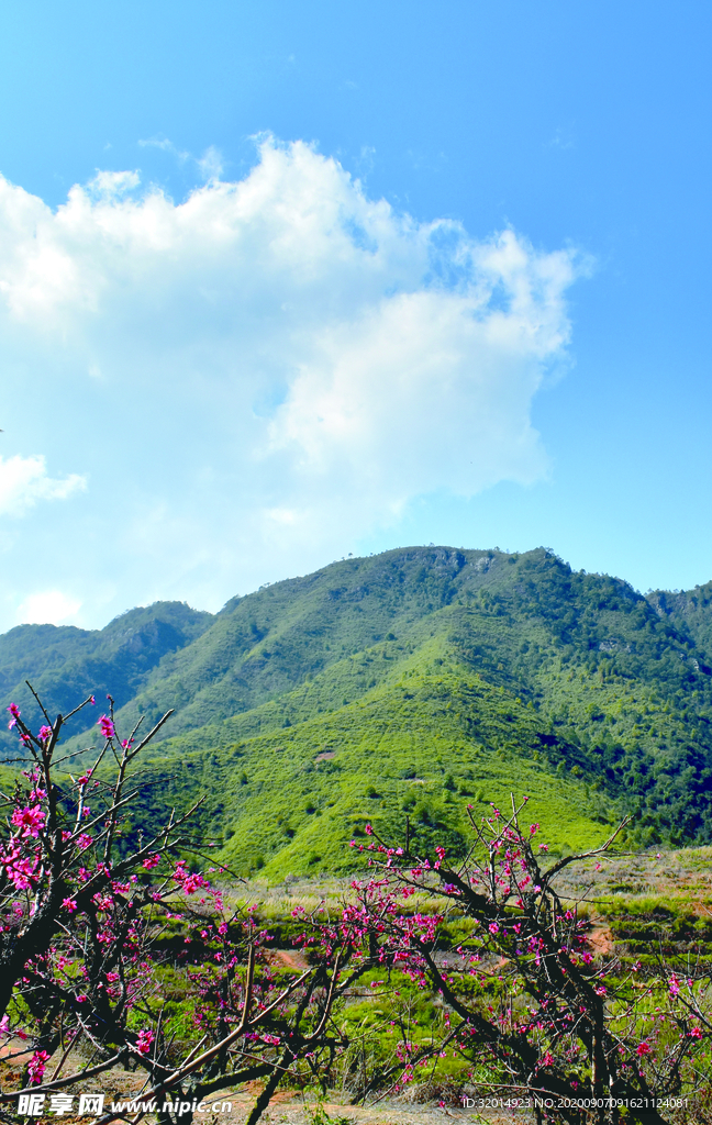 风景