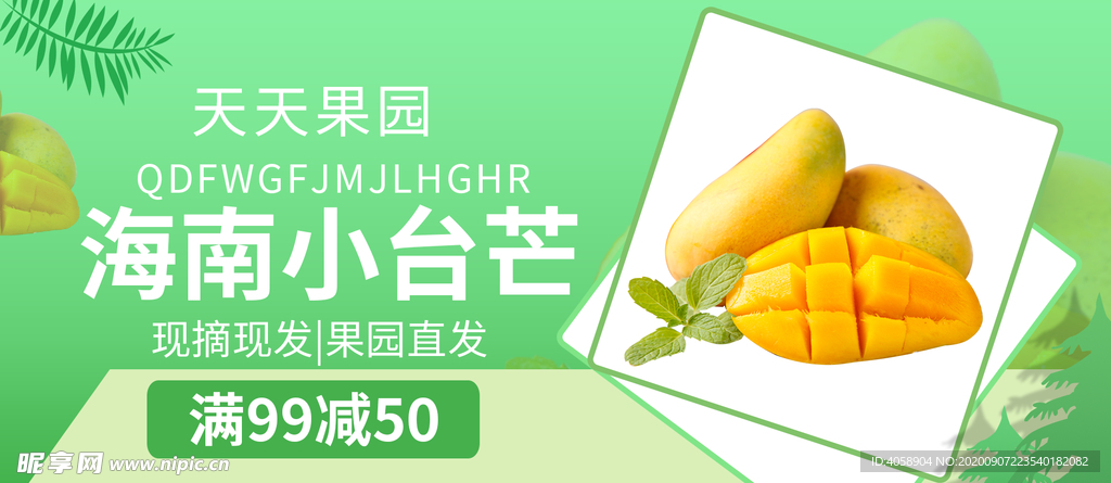 海南小台芒