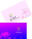 美容护肤名片
