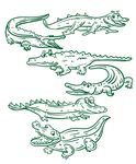 线描鳄鱼装饰图案