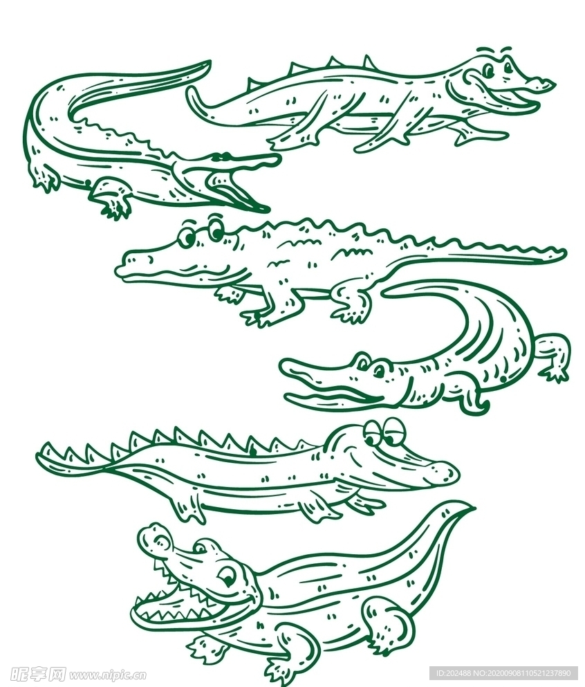 线描鳄鱼装饰图案