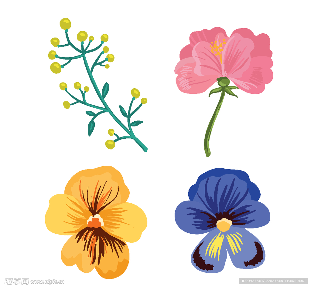 手绘花