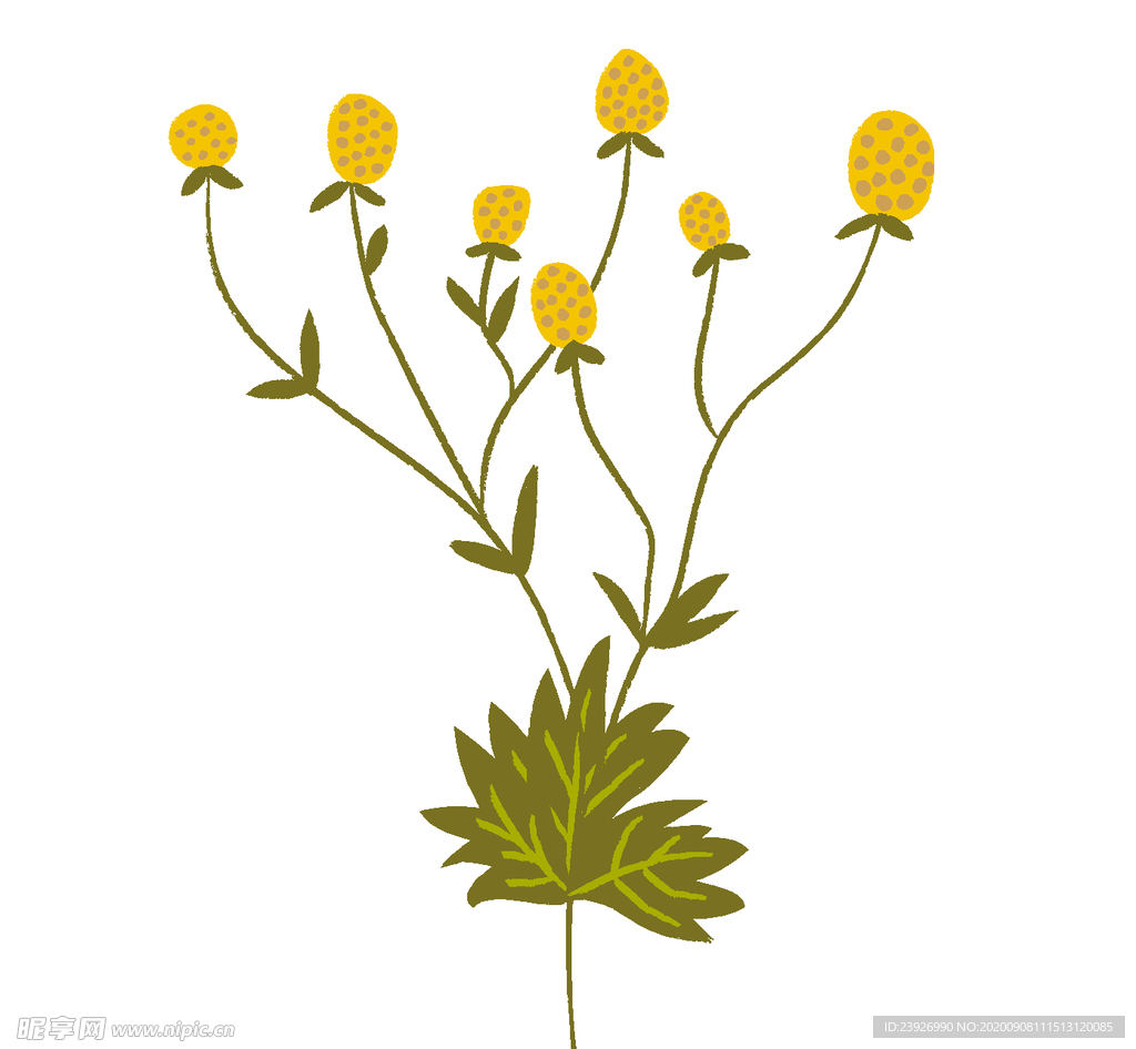 手绘花