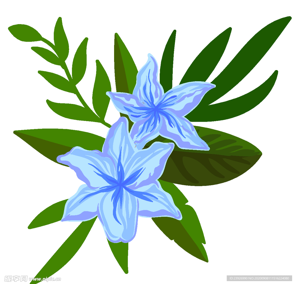 手绘花