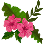 手绘花
