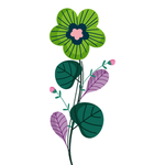 手绘花