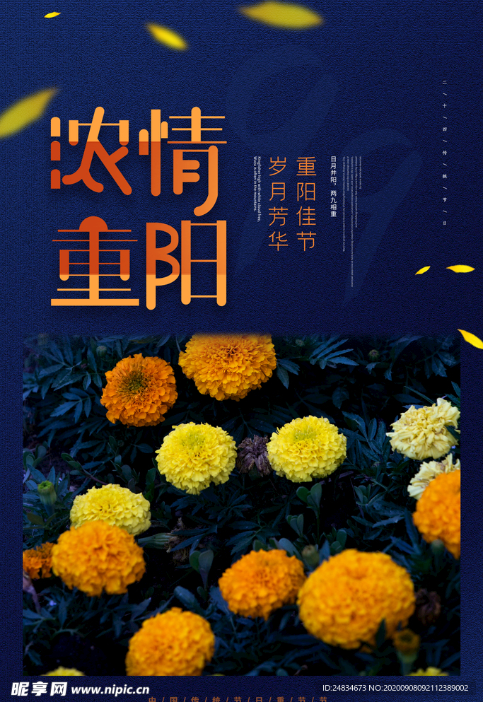 重阳节