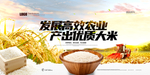 珍惜粮食