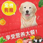 新品狗粮优惠装