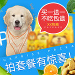 金毛狗粮
