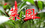 菜园