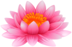 莲花