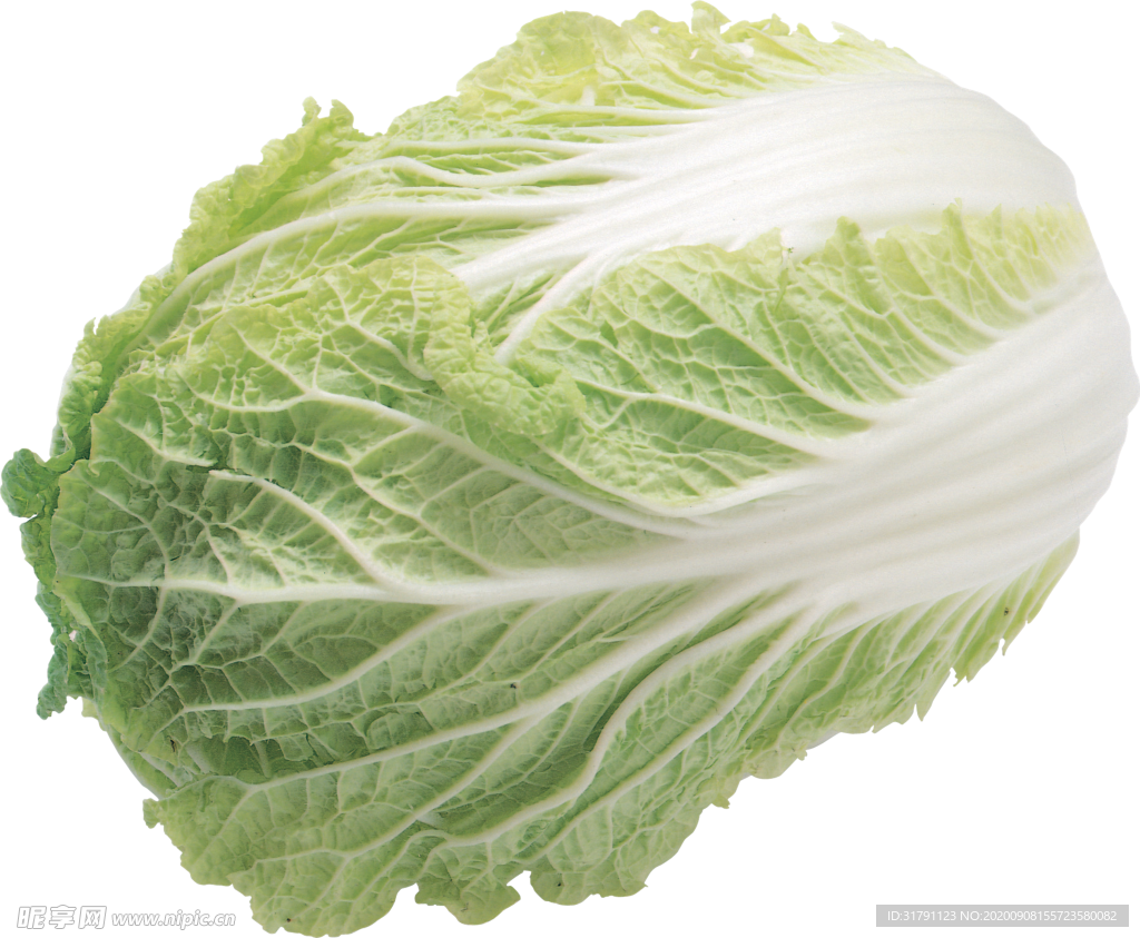 白菜