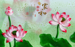 荷花背景墙