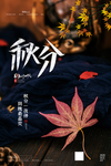 秋分