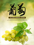 葡萄 葡萄海报图片