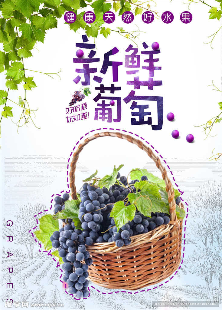 葡萄图片