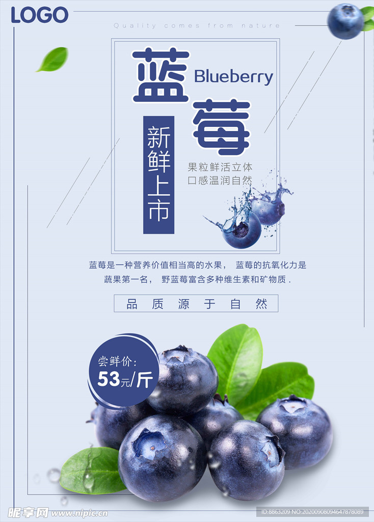 蓝莓图片