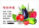 向阳水暖