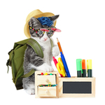 画画的猫