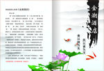 菜单封面