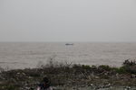 大海
