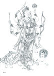 线描画谱
