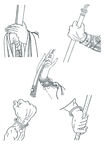 线描画谱