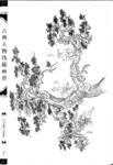 线描画谱