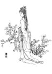 线描画谱