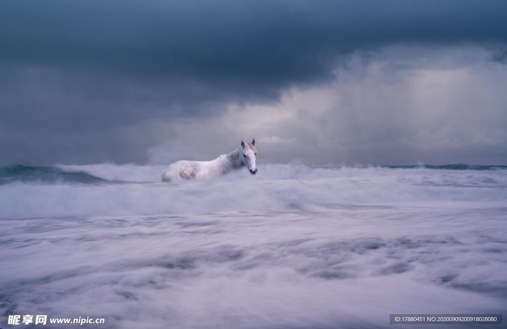 海边