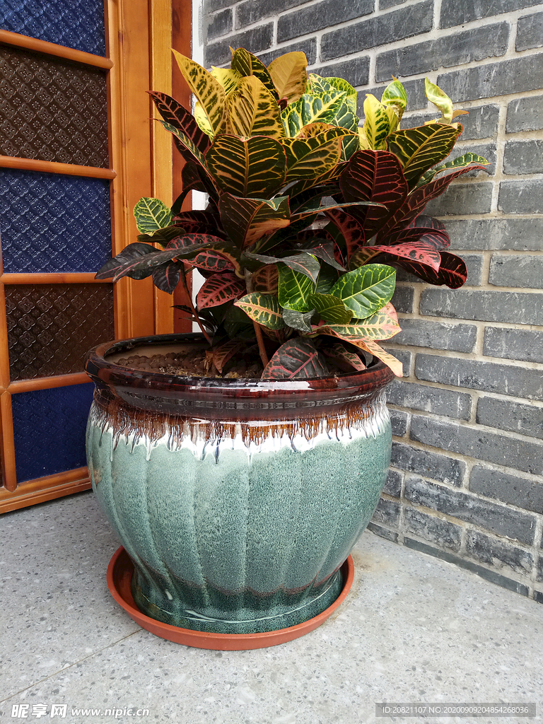 花瓶
