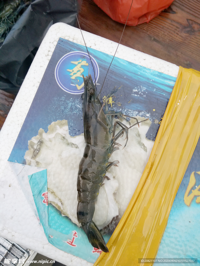 虾
