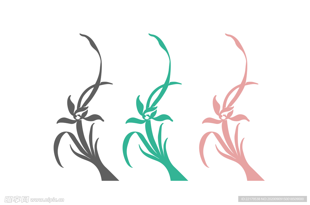 手绘矢量兰花