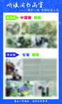 书画培训